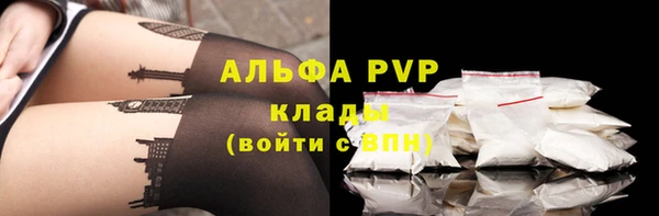 ешки Инта