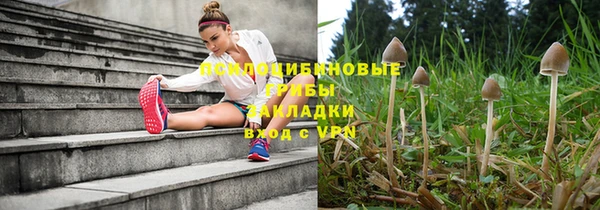 прущая мука Зеленокумск