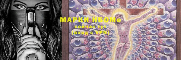 ешки Инта